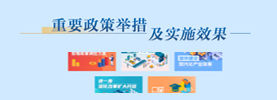重要政策舉措及實(shí)施效果